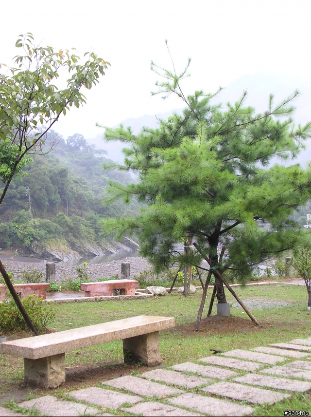 拍了幾張可否給點構圖的建議