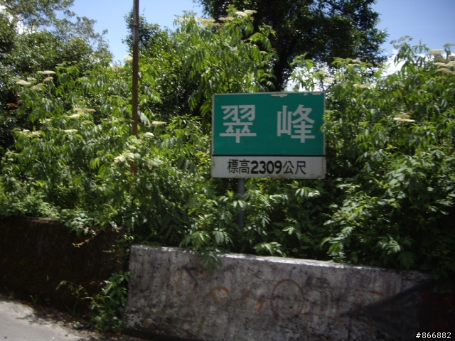 [分享]林北愛練車，戀上50愛上武嶺，僅供想像路況實景