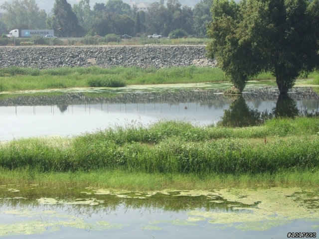 [LA遊記] 從荒地到海天無邊 - San Gabriel River Bike Route (圖多)