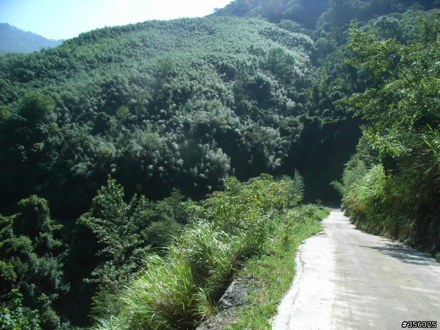 [遊記] 見證上帝的部落 司馬庫斯 單車2日遊