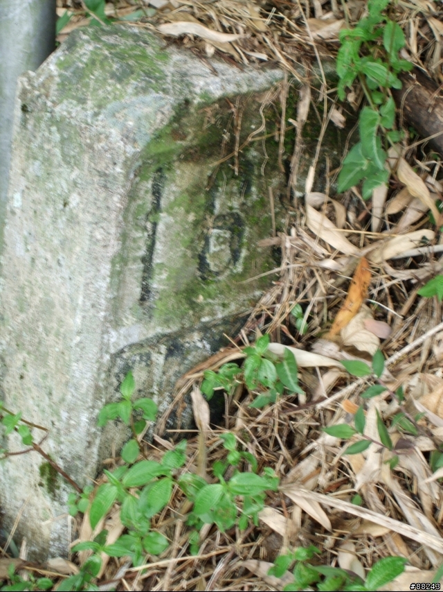 [遊記]跟不到塔塔加，只好去奮起湖