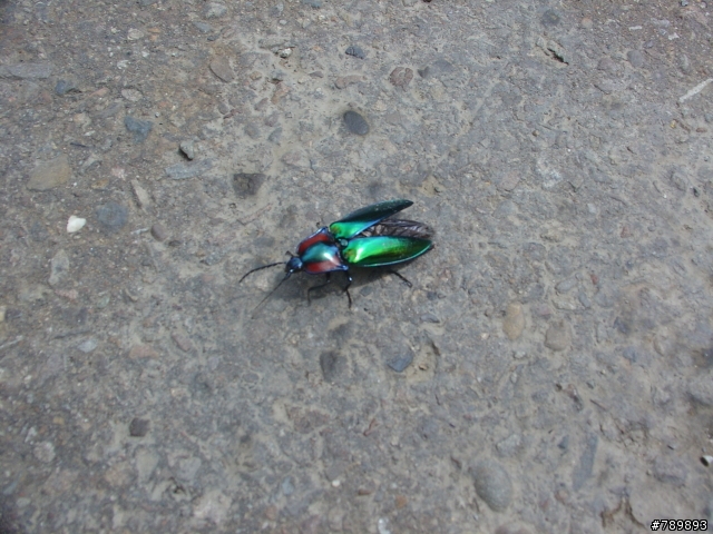 【遊記】丹尼爾之路