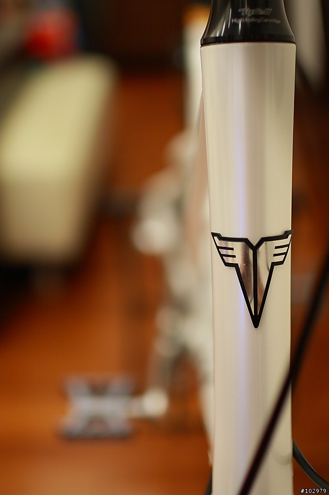 [分享]我的Tyrell  SV (進化完成)