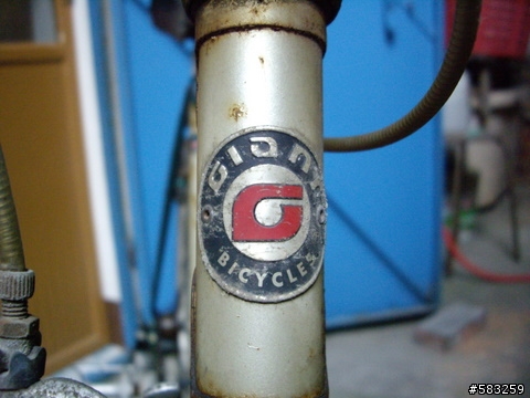 我的老友[Giant Roadace/CrMo 535]...怎麼處理好!??...