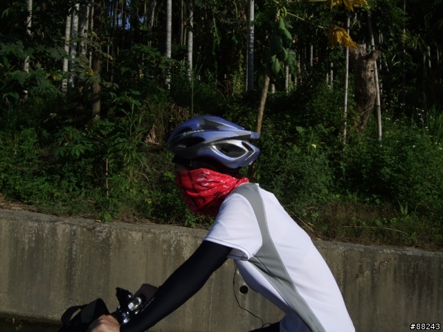 [小折遊記]征服36彎太平龍眼之旅