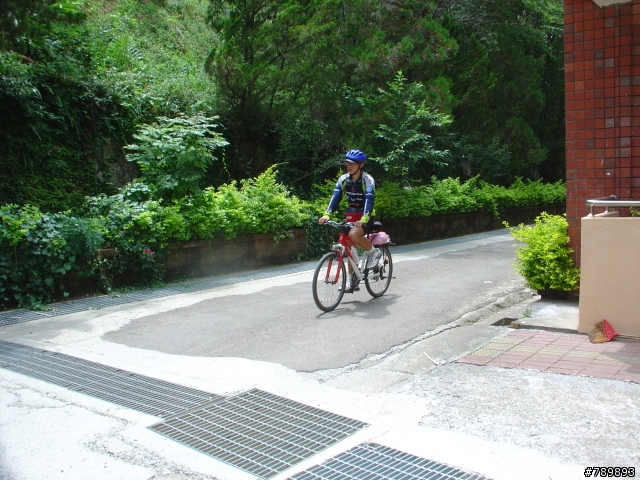 【遊記】丹尼爾之路