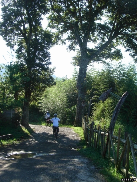 [遊記] 見證上帝的部落 司馬庫斯 單車2日遊