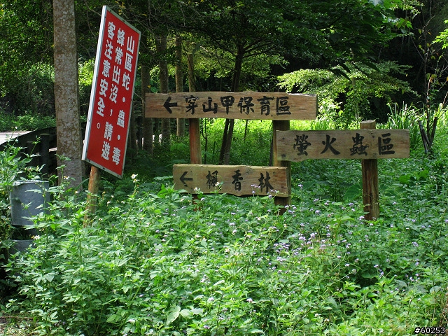 台中縣 東勢林場 & 四角林林場