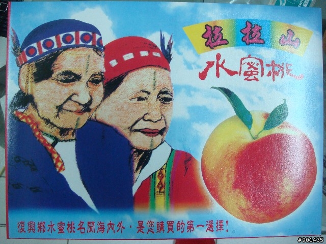 拉拉山水蜜桃--兩種價位兩種甜度(有圖)