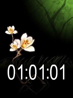 [W910 980]全年日夜變化flash主題Everchanging