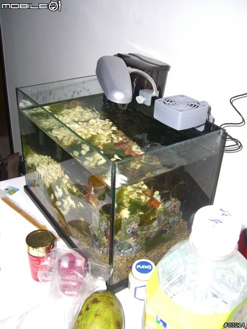 [水族館]我的魚缸，猜猜要多少錢？