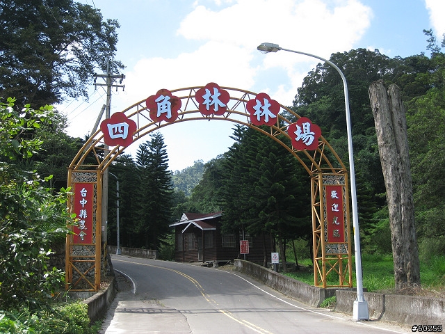 台中縣 東勢林場 & 四角林林場