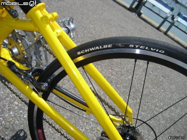 Airnimal Chameleon 24吋折疊車