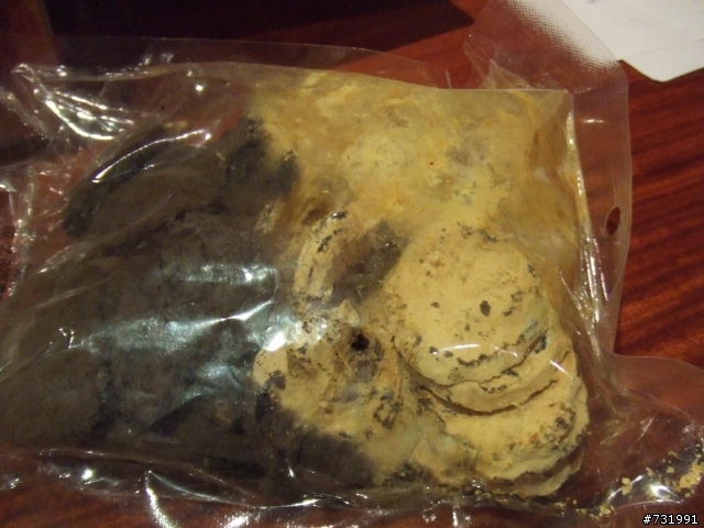 COSTCO發霉狗點心開箱