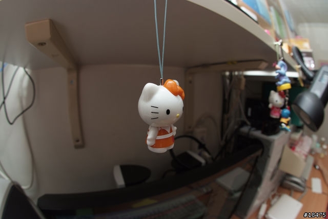 入手第一顆魚眼鏡：Sigma 10mm F2.8 EX DC Fisheye HSM
