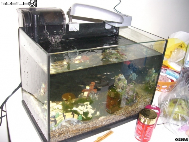 [水族館]我的魚缸，猜猜要多少錢？