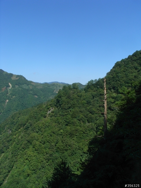 [遊記] 見證上帝的部落 司馬庫斯 單車2日遊