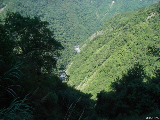 [遊記] 見證上帝的部落 司馬庫斯 單車2日遊