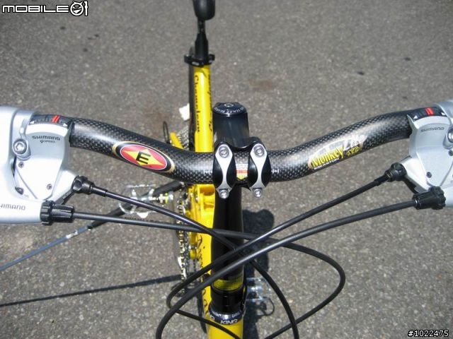 Airnimal Chameleon 24吋折疊車