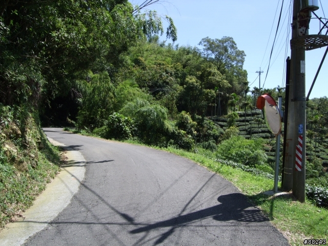 [小折遊記]征服36彎太平龍眼之旅