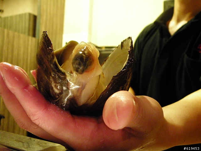 我的p80~~~喜歡拍食物   (歡迎一樣喜歡拍食物的 大家都來看囉)