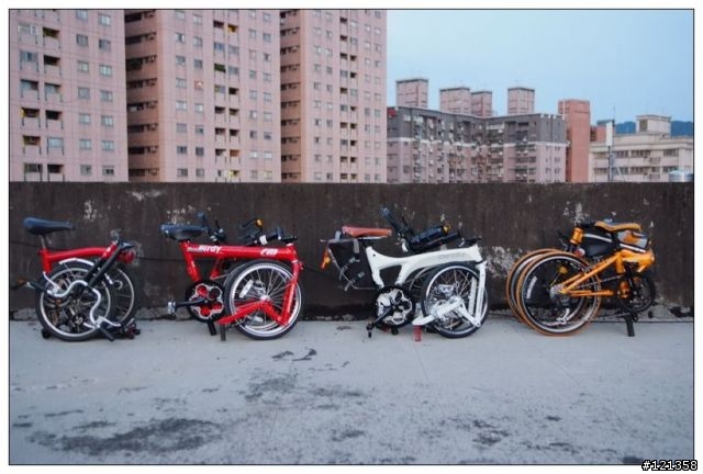 (分享)小折瘋.瘋小折