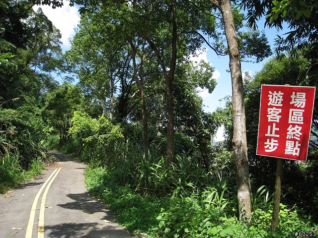 台中縣 東勢林場 & 四角林林場