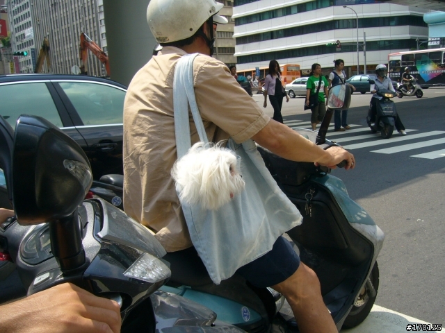 北車附近有人騎車溜鳥...真大膽(有圖有真相!)