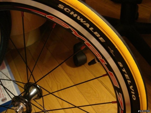 [開箱]DAHON 圓點CYCLE 7 SL 輪組加芒果胎