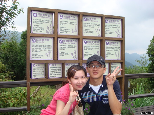 新竹尖石薰衣草森林一日遊