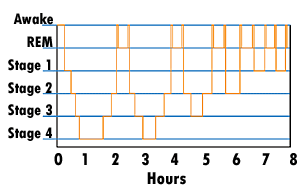 提升睡眠品質和效率的神兵利器...SLEEPTRACKER