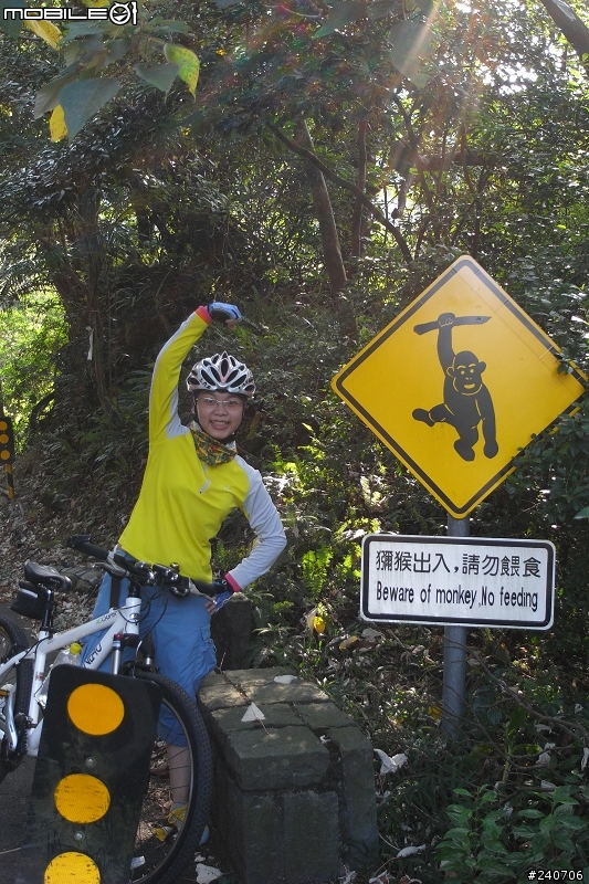 [遊記]20080817 陽金暴走行