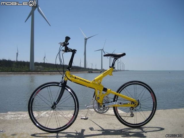 Airnimal Chameleon 24吋折疊車