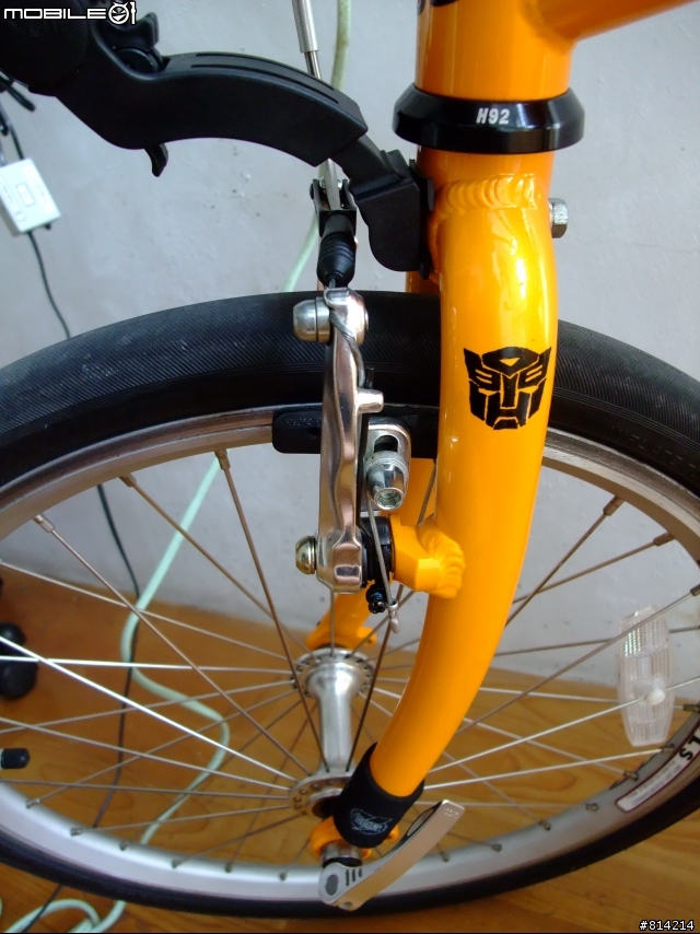 "台東"小折車友討論區