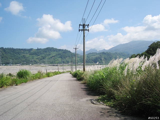 台中縣 東勢林場 & 四角林林場