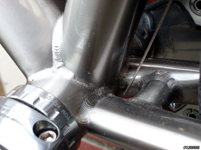 LITESPEED ICON…美裔偶像