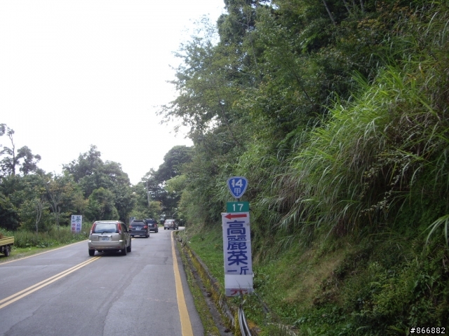 [分享]林北愛練車，戀上50愛上武嶺，僅供想像路況實景