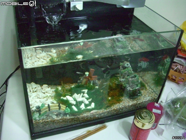[水族館]我的魚缸，猜猜要多少錢？