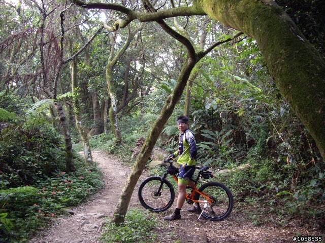 樹林市大棟山至大同山 off road登山車路線紀錄人間仙境(吳歐)DVD
