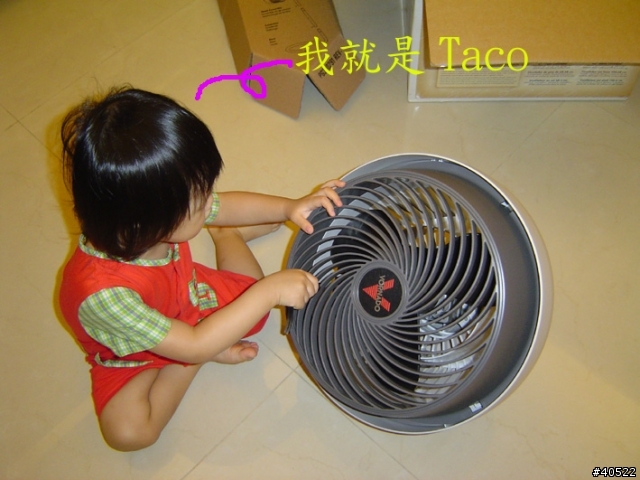 VORNADO 783B 渦流循環扇—極簡單開箱