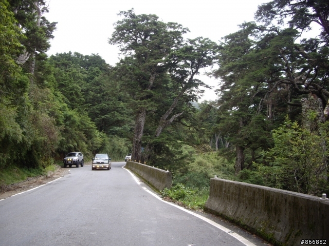 [分享]林北愛練車，戀上50愛上武嶺，僅供想像路況實景