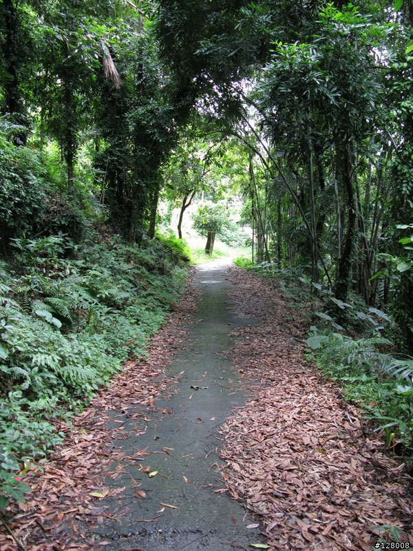 [機車探路]崩壞的樂園---嘉義觀音瀑布