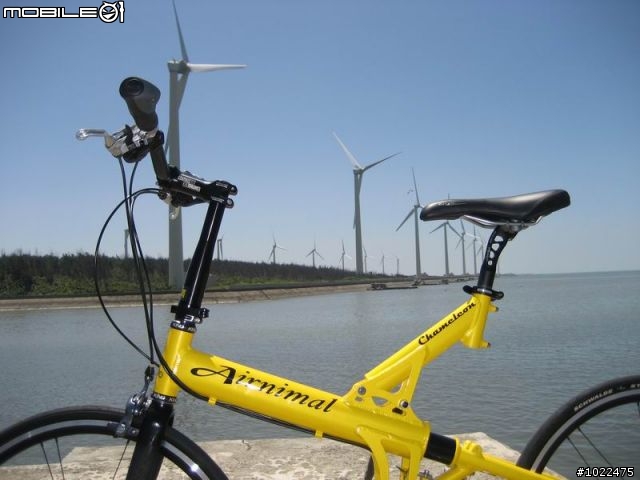 Airnimal Chameleon 24吋折疊車