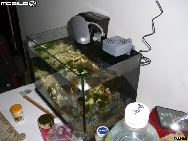 [水族館]我的魚缸，猜猜要多少錢？