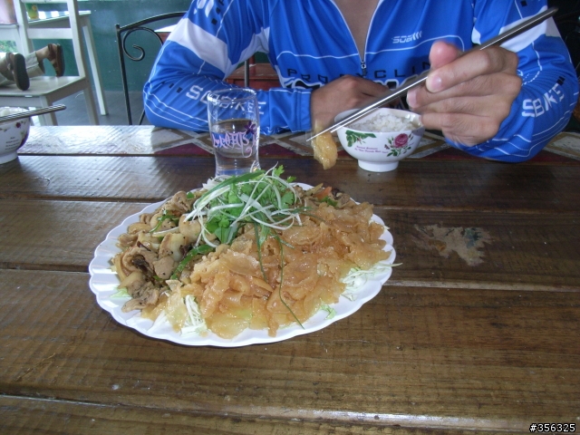 [遊記] 見證上帝的部落 司馬庫斯 單車2日遊