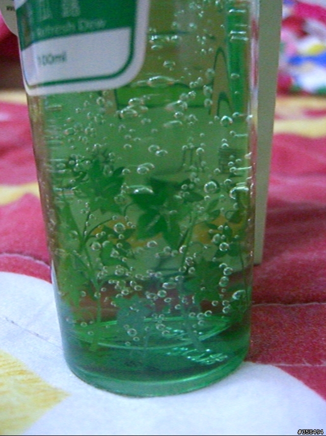 [分享] 歷屆阿嬤都愛的瓜...涼涼feeling~
