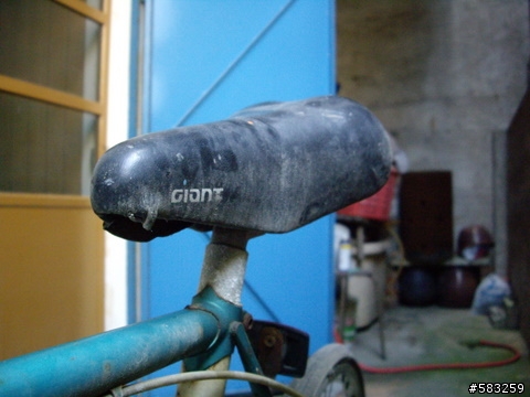 我的老友[Giant Roadace/CrMo 535]...怎麼處理好!??...