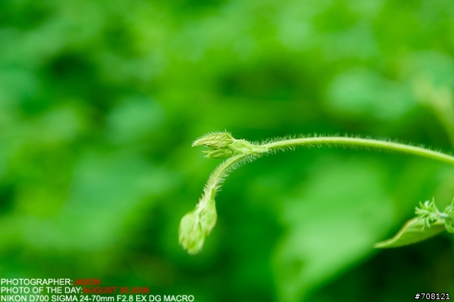 AUGUST 30,2008 扫街-城乡结合 （D700+SIGMA24-70）