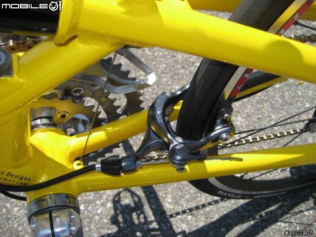 Airnimal Chameleon 24吋折疊車