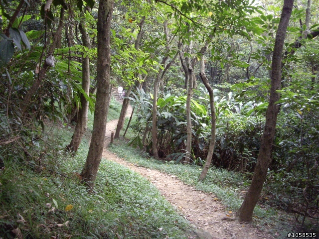 樹林市大棟山至大同山 off road登山車路線紀錄人間仙境(吳歐)DVD